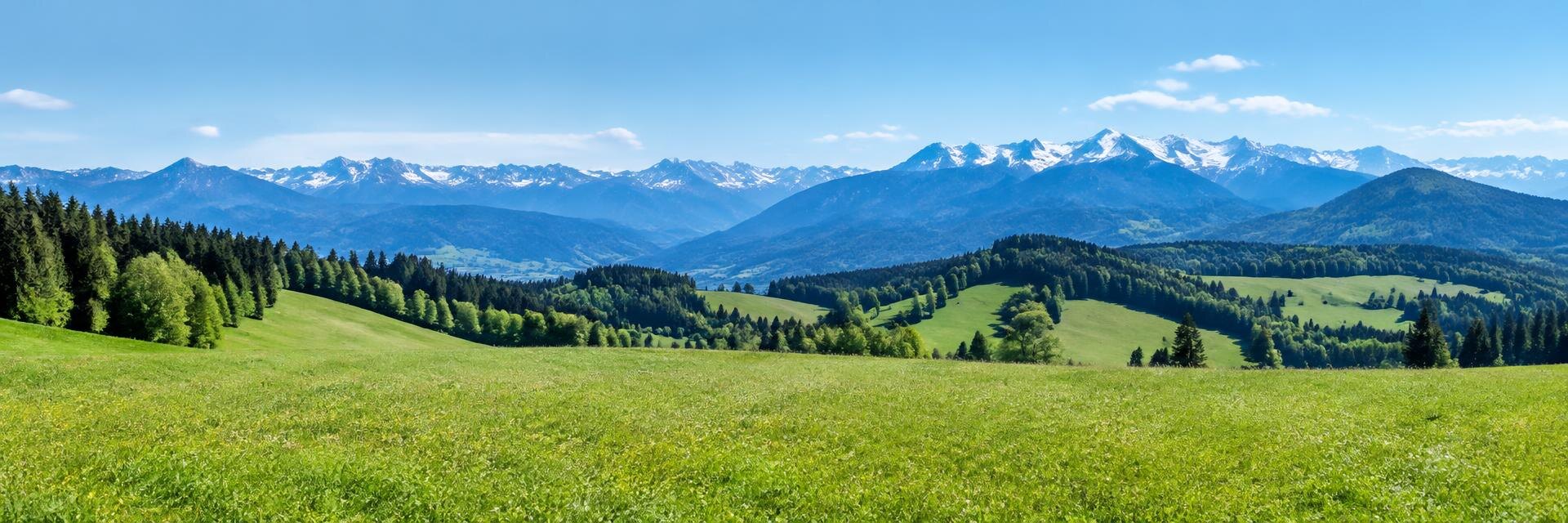 Voralpenlandschaft mit Wiesen und Blick auf die Berge